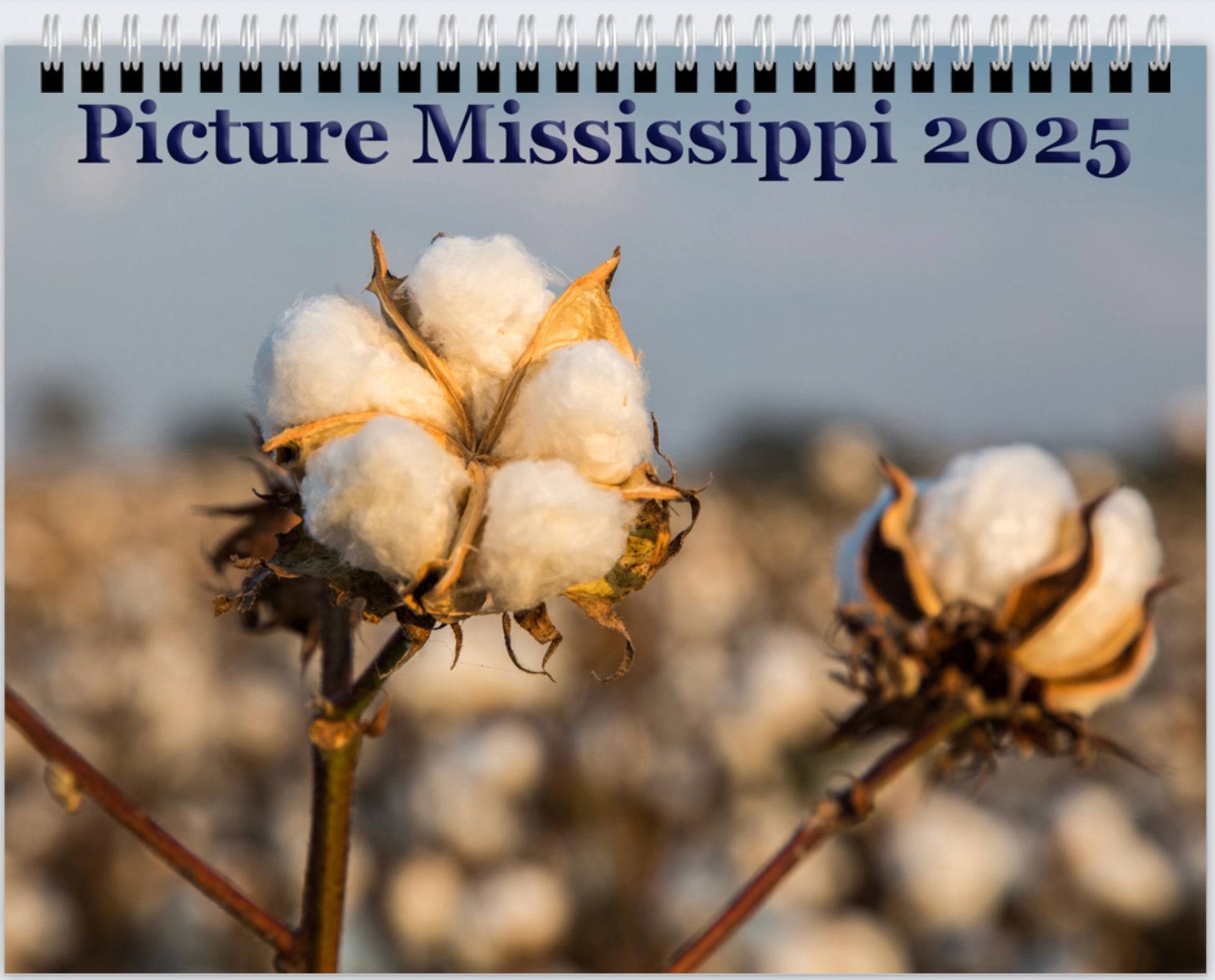 2025 Picture Mississippi Calendar